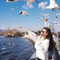  落寞,渐行渐远.