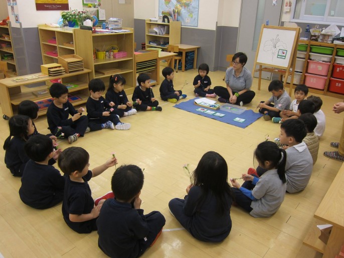 12916837_1171313109567451_4554356456243107532_o